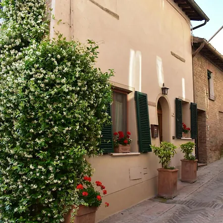 Ciliano 16